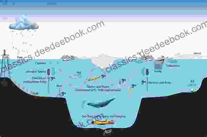 Amy Ewing Conducting Acoustic Monitoring Research In The Ocean The Cerulean Amy Ewing