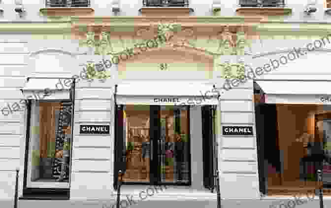 Opulent Shopping Street Lined With Designer Boutiques Shopping For A Billionaire Boxed Set (Books 9 11) (Shopping Box 3)