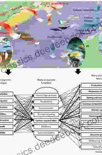 Marine Biodiversity And Ecosystem Functioning: Frameworks Methodologies And Integration