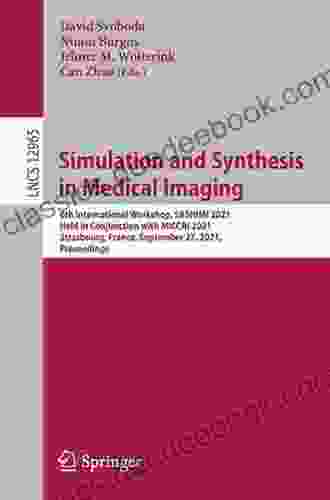 Simulation And Synthesis In Medical Imaging: 6th International Workshop SASHIMI 2024 Held In Conjunction With MICCAI 2024 Strasbourg France September Notes In Computer Science 12965)