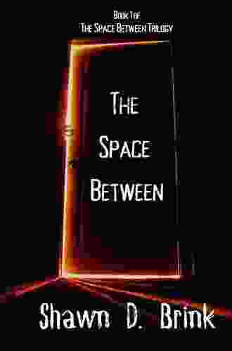 The Space Between Shawn D Brink